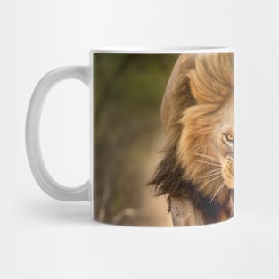 Lion Animal Nature Majestic Wilderness Mug